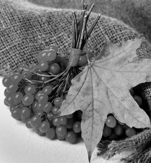 Иллюстрация к книге — Советское домоводство [i_136.jpg]