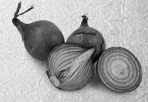 Иллюстрация к книге — Советское домоводство [i_143.jpg]