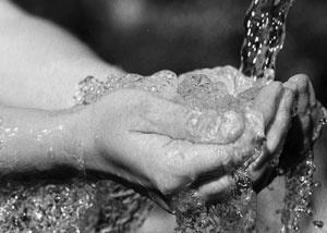 Иллюстрация к книге — Советское домоводство [i_147.jpg]