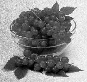 Иллюстрация к книге — Советское домоводство [i_186.jpg]