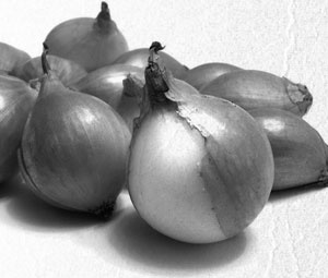 Иллюстрация к книге — Советское домоводство [i_191.jpg]