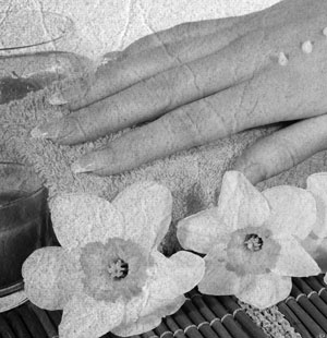 Иллюстрация к книге — Советское домоводство [i_218.jpg]