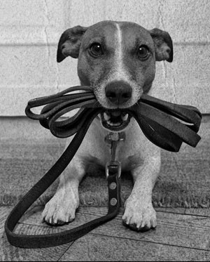 Иллюстрация к книге — Советское домоводство [i_225.jpg]