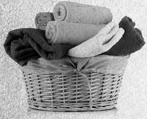 Иллюстрация к книге — Советское домоводство [i_251.jpg]