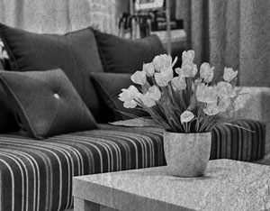 Иллюстрация к книге — Советское домоводство [i_270.jpg]