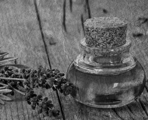 Иллюстрация к книге — Советское домоводство [i_286.jpg]