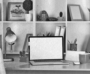 Иллюстрация к книге — Советское домоводство [i_292.jpg]