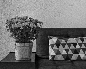 Иллюстрация к книге — Советское домоводство [i_293.jpg]