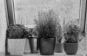 Иллюстрация к книге — Советское домоводство [i_296.jpg]