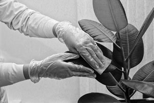 Иллюстрация к книге — Советское домоводство [i_298.jpg]