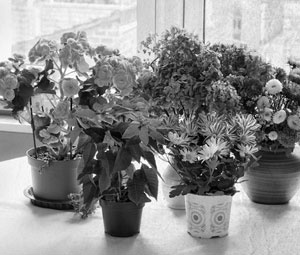 Иллюстрация к книге — Советское домоводство [i_302.jpg]