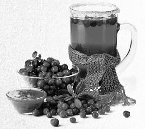 Иллюстрация к книге — Советское домоводство [i_310.jpg]