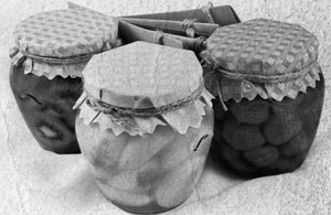 Иллюстрация к книге — Советское домоводство [i_311.jpg]