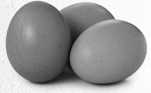 Иллюстрация к книге — Советское домоводство [i_316.jpg]