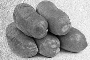 Иллюстрация к книге — Советское домоводство [i_319.jpg]