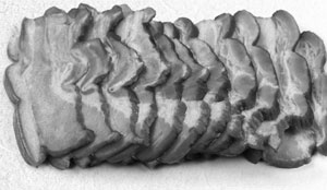 Иллюстрация к книге — Советское домоводство [i_320.jpg]