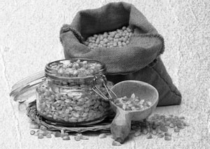 Иллюстрация к книге — Советское домоводство [i_334.jpg]