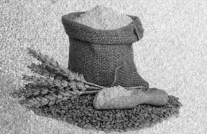 Иллюстрация к книге — Советское домоводство [i_341.jpg]