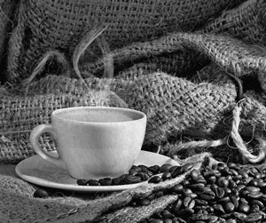 Иллюстрация к книге — Советское домоводство [i_360.jpg]