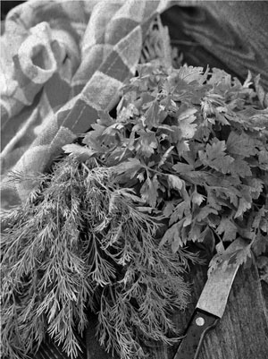 Иллюстрация к книге — Советское домоводство [i_383.jpg]