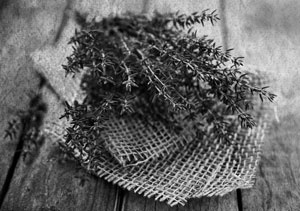 Иллюстрация к книге — Советское домоводство [i_388.jpg]