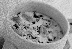 Иллюстрация к книге — Советское домоводство [i_406.jpg]