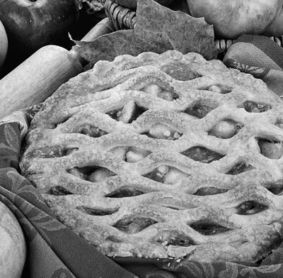 Иллюстрация к книге — Советское домоводство [i_455.jpg]