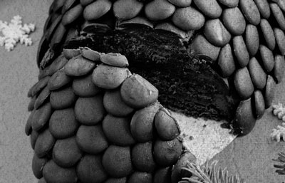 Иллюстрация к книге — Советское домоводство [i_498.jpg]