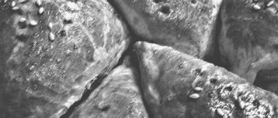 Иллюстрация к книге — Пироги. Большая книга рецептов [i_001.jpg]