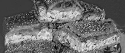 Иллюстрация к книге — Пироги. Большая книга рецептов [i_004.jpg]