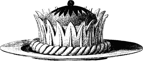 Иллюстрация к книге — Русская кулинарная книга. Кушать подано! [_281_3.jpg]