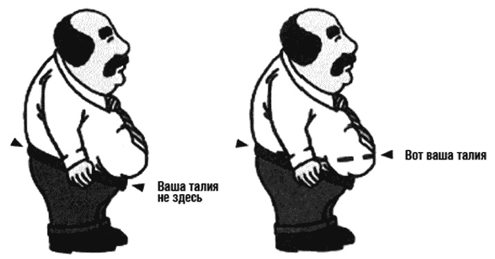 Иллюстрация к книге — Химия здорового питания [i_007.jpg]