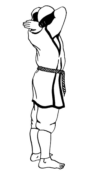 Иллюстрация к книге — Книга здоровья богатырей русских. Славянкая система здоровья. Русская здрава, массаж, питание [i_001.jpg]