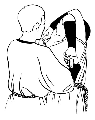 Иллюстрация к книге — Книга здоровья богатырей русских. Славянкая система здоровья. Русская здрава, массаж, питание [i_018.jpg]