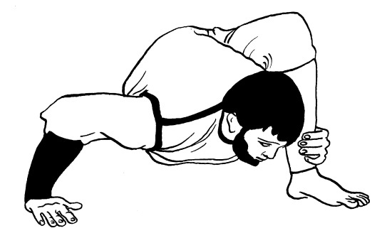 Иллюстрация к книге — Книга здоровья богатырей русских. Славянкая система здоровья. Русская здрава, массаж, питание [i_025.jpg]