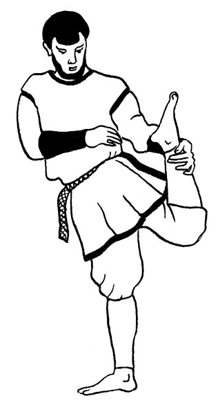 Иллюстрация к книге — Книга здоровья богатырей русских. Славянкая система здоровья. Русская здрава, массаж, питание [i_028.jpg]