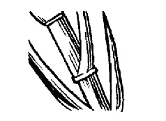 Иллюстрация к книге — Винный этикет [pic_18.jpg]