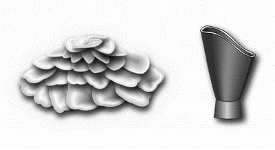 Иллюстрация к книге — Профессия кондитер. Учебное пособие [i_009.jpg]