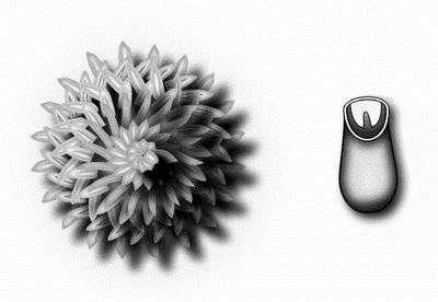 Иллюстрация к книге — Профессия кондитер. Учебное пособие [i_014.jpg]