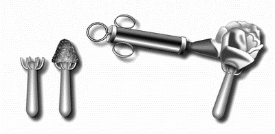 Иллюстрация к книге — Профессия кондитер. Учебное пособие [i_016.jpg]