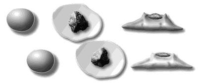 Иллюстрация к книге — Профессия кондитер. Учебное пособие [i_023.jpg]