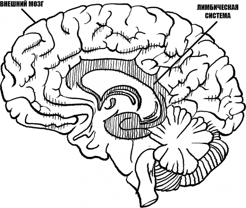 Иллюстрация к книге — Если с ребенком трудно [Autogen_eBook_id1.jpg]