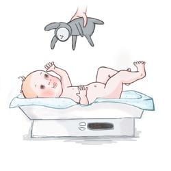 Иллюстрация к книге — Ваш малыш неделя за неделей. От рождения до 6 месяцев [i_009.jpg]