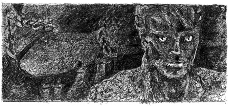 Иллюстрация к книге — Бесшабашный. Книга 3. Золотая пряжа [_14.jpg]