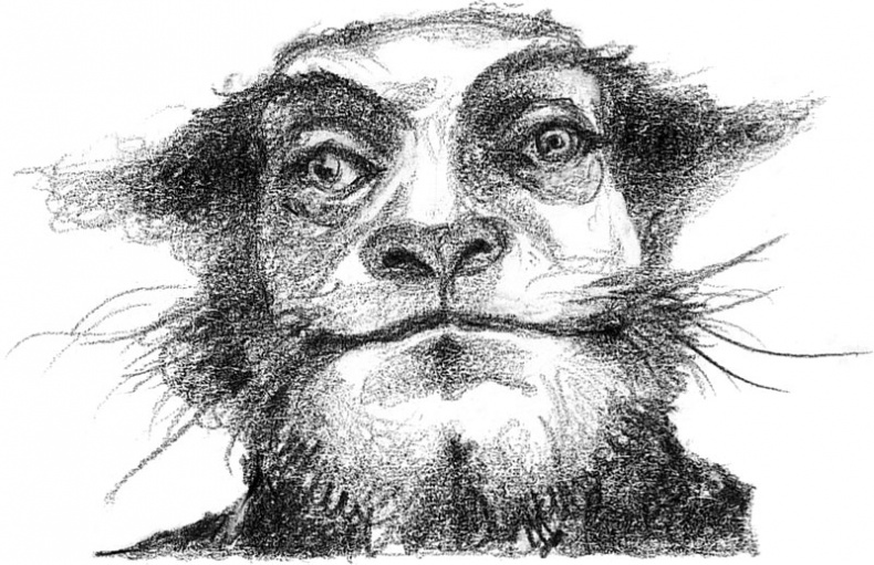 Иллюстрация к книге — Бесшабашный. Книга 3. Золотая пряжа [_44.jpg]