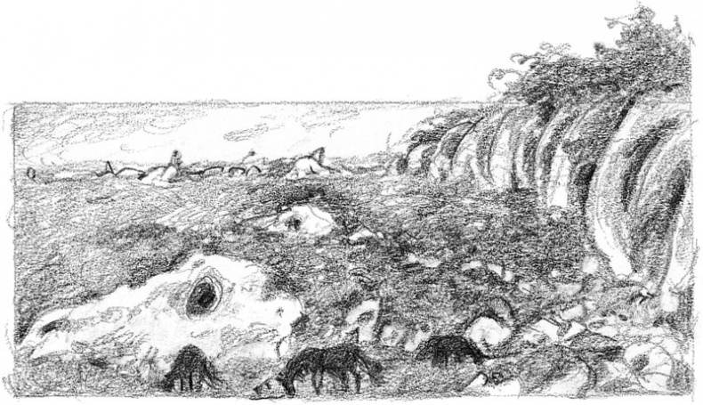 Иллюстрация к книге — Бесшабашный. Книга 3. Золотая пряжа [_61.jpg]