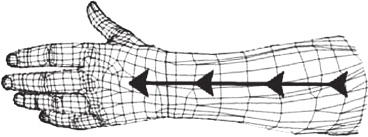 Иллюстрация к книге — Вечный танец Инь и ян [i_006.jpg]