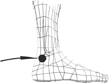 Иллюстрация к книге — Вечный танец Инь и ян [i_010.jpg]