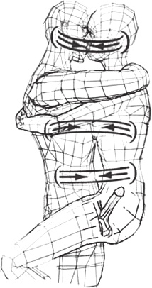 Иллюстрация к книге — Вечный танец Инь и ян [i_011.jpg]