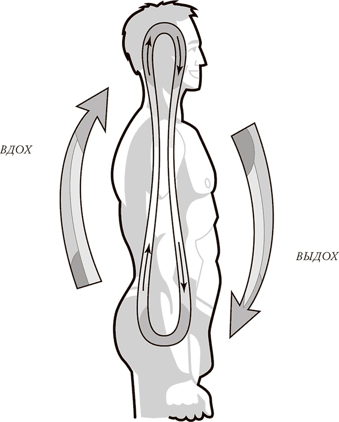 Иллюстрация к книге — Жизнь: зарядное устройство. Скрытые возможности вашего организма [Autogen_eBook_id7.jpg]
